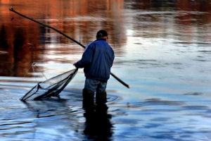 В Финляндии рыбак заплатил штраф более 7000 евро