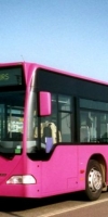 В Лаппеенранте начнут ходить розовые автобусы