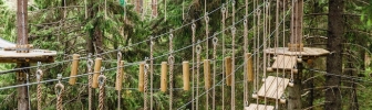 Тур Веревочный парк в Карелии: на зиплайне сквозь свежий лес,1 день