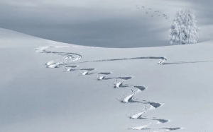 В Лапландии выпало рекордное количество снега